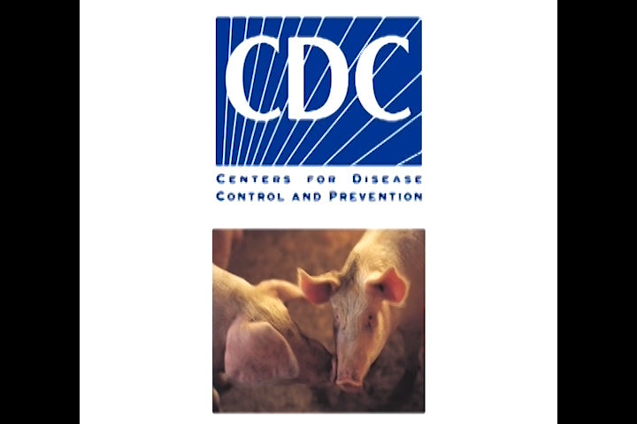 H1N1 Swine Influenza