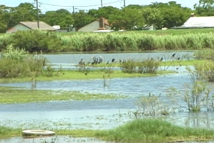 Storm Water Runoff Responsibilities