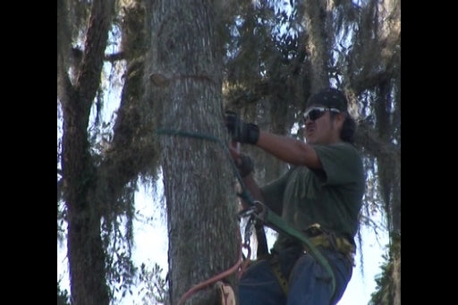 Tree Trimming Safety (Hospitality)
