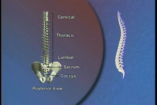 Few More Back Injury Prevention Techniques (short refresher)