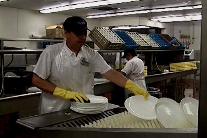 Dishwasher Safety