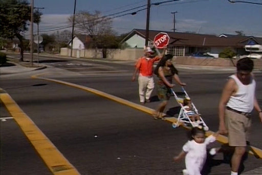 School Crossing Guard and Traffic Control