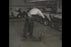 Chemical Safety (short refresher) (Gen Ind.)
