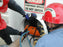 Confined Space Training Videos Package